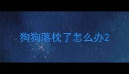 狗狗落枕了怎么办