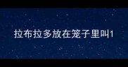 拉布拉多放在笼子里叫