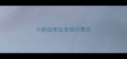 小的拉布拉多照片黑色