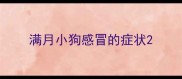 满月小狗感冒的症状