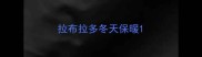 拉布拉多冬天保暖