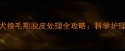 拉布拉多幼犬换毛期脱皮处理全攻略科学护理与常见误区