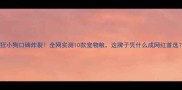 疯狂小狗口碑炸裂全网实测10款宠物粮这牌子凭什么成网红首选