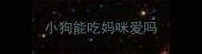 小狗能吃妈咪爱吗