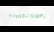 小狗会得抑郁症吗