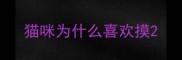 猫咪为什么喜欢摸