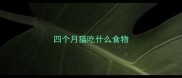 四个月猫吃什么食物