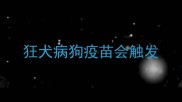 狂犬病狗疫苗会触发