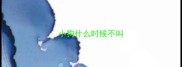 小狗什么时候不叫