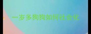 一岁多狗狗如何社会化