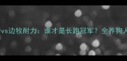 金毛耐力vs边牧耐力谁才是长跑冠军全养狗人必看