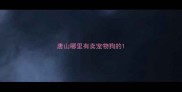 唐山哪里有卖宠物狗的