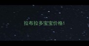 拉布拉多宝宝价格