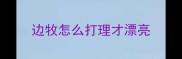 边牧怎么打理才漂亮