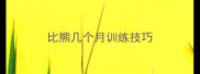 比熊几个月训练技巧