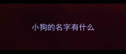 小狗的名字有什么