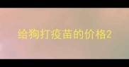 给狗打疫苗的价格