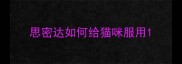 思密达如何给猫咪服用