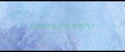 拉布拉多犬性格脾气