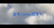 金毛lucky冠军