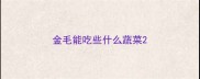 金毛能吃些什么蔬菜