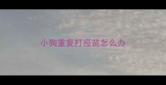 小狗重复打疫苗怎么办