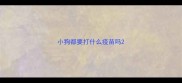 小狗都要打什么疫苗吗
