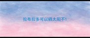 拉布拉多可以晒太阳不