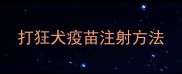打狂犬疫苗注射方法