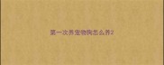 第一次养宠物狗怎么养
