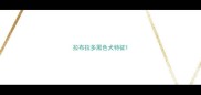 拉布拉多黑色犬特征