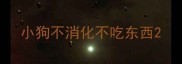 小狗不消化不吃东西
