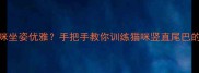 如何让猫咪坐姿优雅手把手教你训练猫咪竖直尾巴的3大秘诀