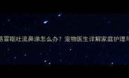拉布拉多感冒呕吐流鼻涕怎么办宠物医生详解家庭护理与预防指南