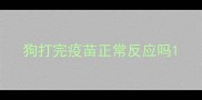 狗打完疫苗正常反应吗