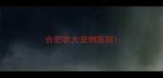 合肥农大宠物医院