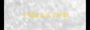 小狗嘴上长了粉刺