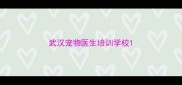武汉宠物医生培训学校