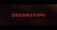 边牧皮肤病会传染吗