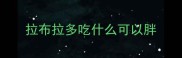 拉布拉多吃什么可以胖