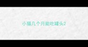 小猫几个月能吃罐头