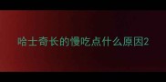 哈士奇长的慢吃点什么原因