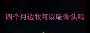 四个月边牧可以吃骨头吗