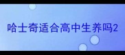 哈士奇适合高中生养吗
