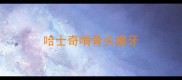 哈士奇啃骨头磨牙