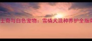 哈士奇与白色宠物雪橇犬混种养护全指南
