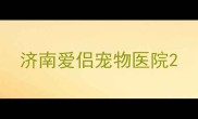 济南爱侣宠物医院