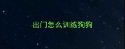出门怎么训练狗狗