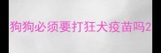 狗狗必须要打狂犬疫苗吗