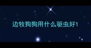 边牧狗狗用什么驱虫好